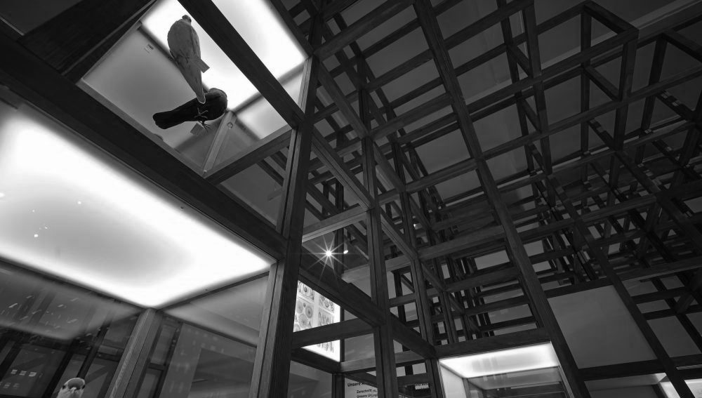 Ein schwarz-weiß Foto eines Gebäudes mit Glaswänden, das modern und elegant wirkt.